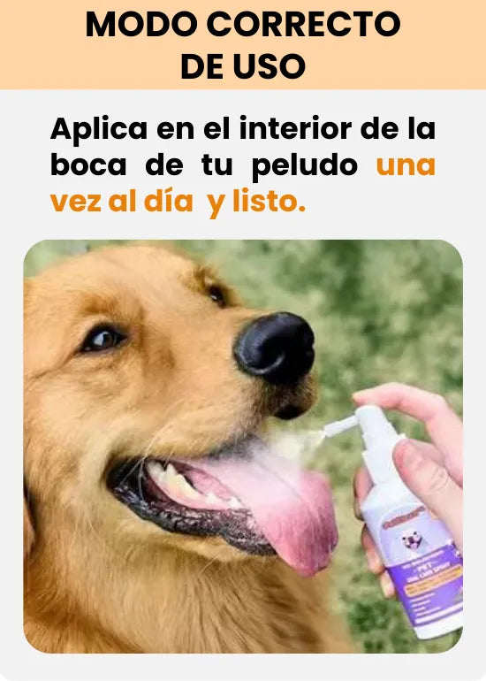 "Happy Pets - Enjuague Bucal para mascotas  Sonrisas Sanas"